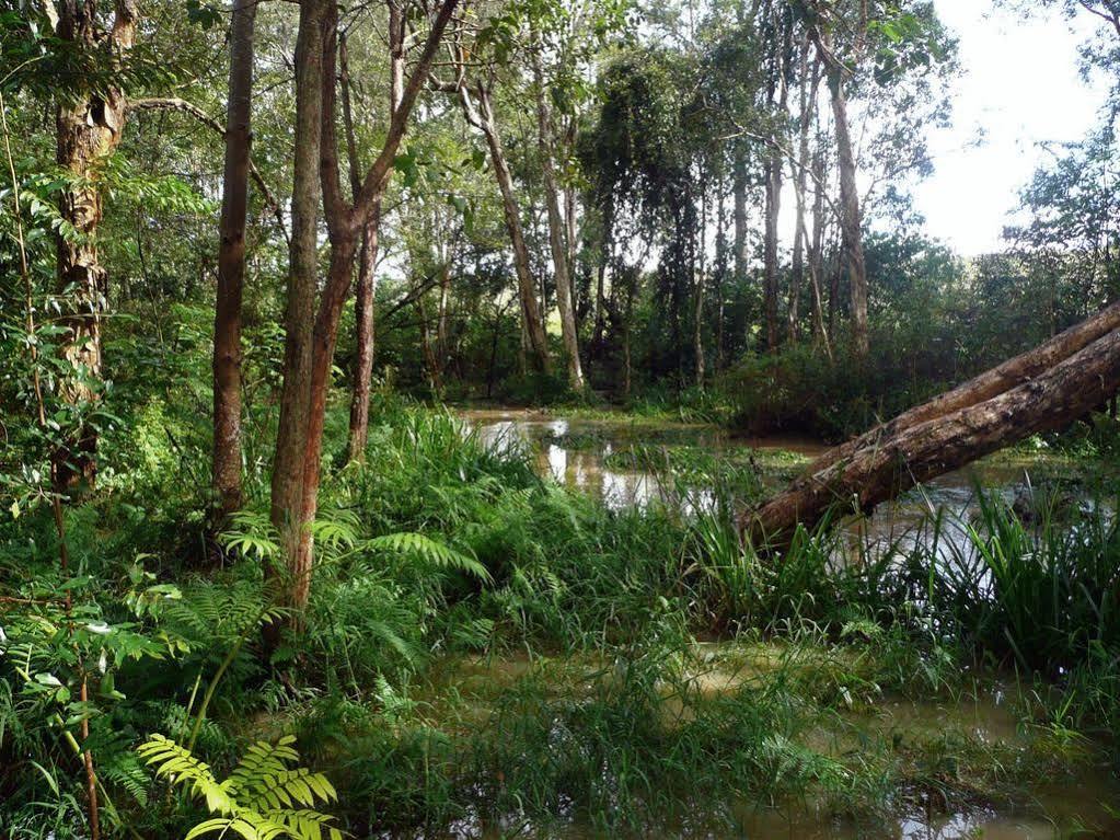 Glass House Mountains Ecolodge Ngoại thất bức ảnh